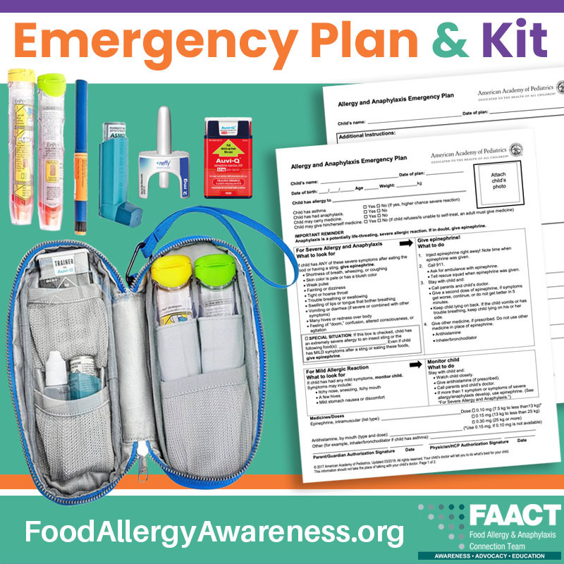 "Emergency Plan & Kit" with supplies and papers